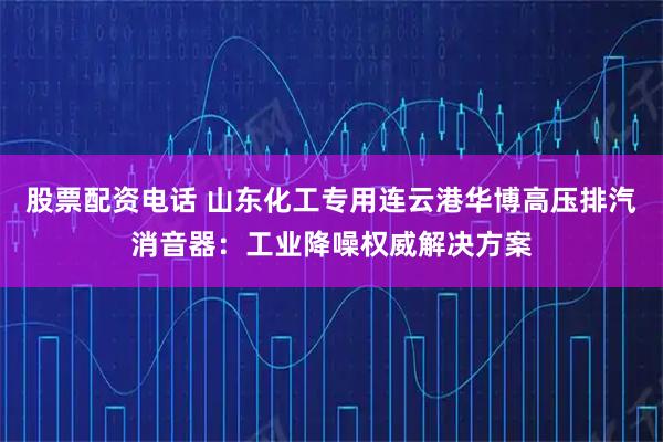 股票配资电话 山东化工专用连云港华博高压排汽消音器：工业降噪权威解决方案